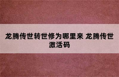 龙腾传世转世修为哪里来 龙腾传世激活码